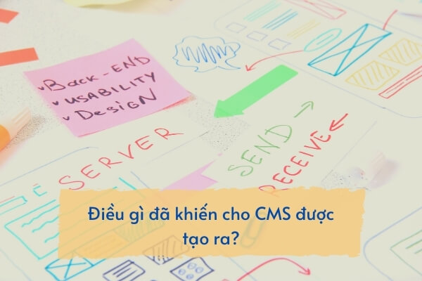 cms website